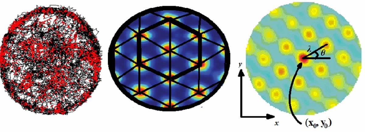 This shows grid cell diagrams.