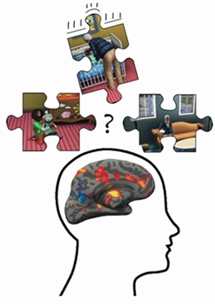 This image shows the outline of a head with an MRI brain image superimposed. Surrounding the head are some jig-saw pieces with scenes from the Sims in them.