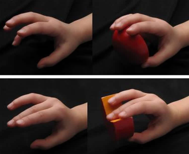 This image shows four childrens hands. In two of the hands are hard looking objects.