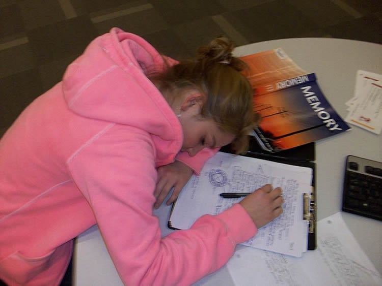 This shows a girl asleep on a desk next to a memory book.