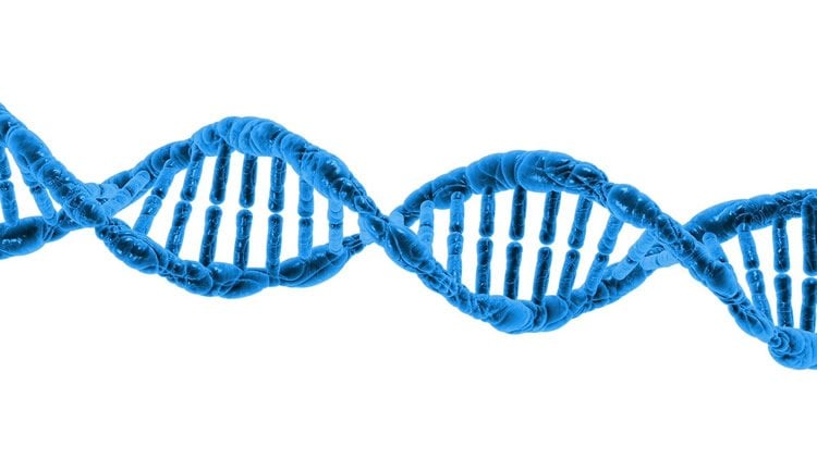 This image shows s DNA double helix.
