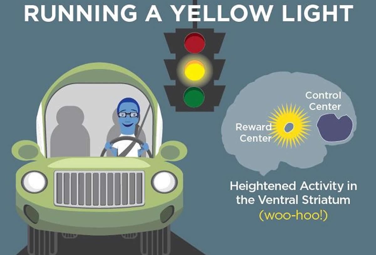 This cartoon shows a teen driving and a brain highlighting the areas activated.