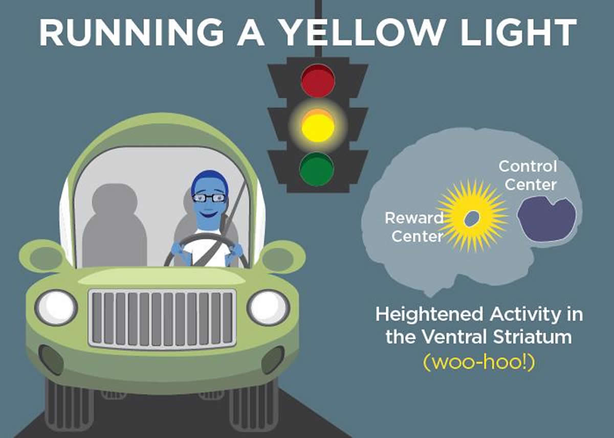 This cartoon shows a teen driving and a brain highlighting the areas activated.