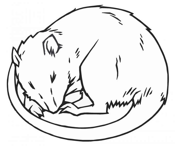 This image shows a drawing of a sleeping rat.