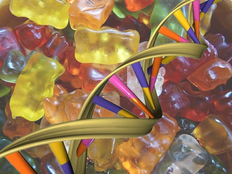 This graph shows gummy bears and a strand of DNA.