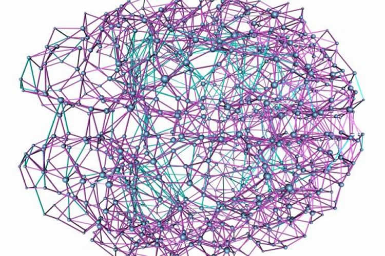 This image shows neural connections in the brain.