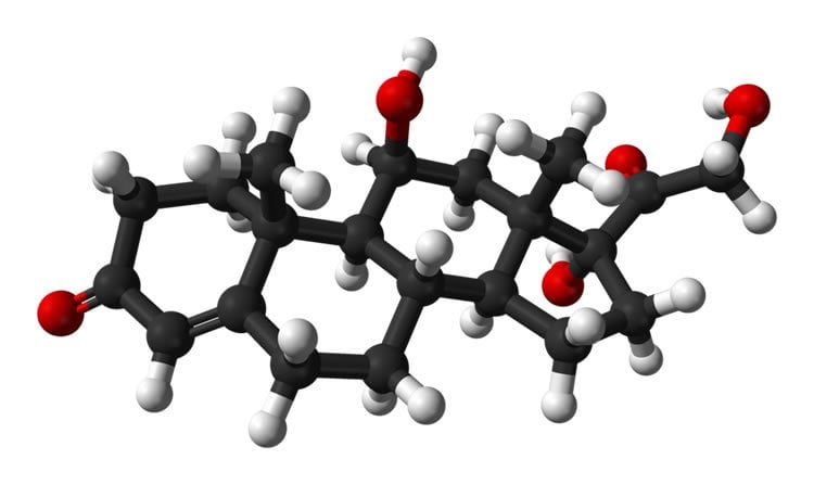 This image shows a ball and stick model of the cortisol molecule.