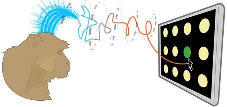 This is a drawing of a monkey controlling the cursor on a computer monitor. There are waves drawn above the monkey's head to imply that it is using thought to move the cursor.