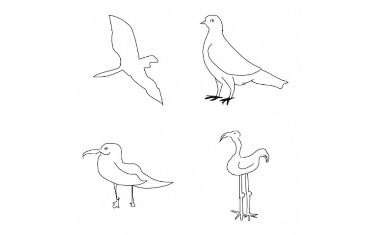 This image shows a drawing of four birds.