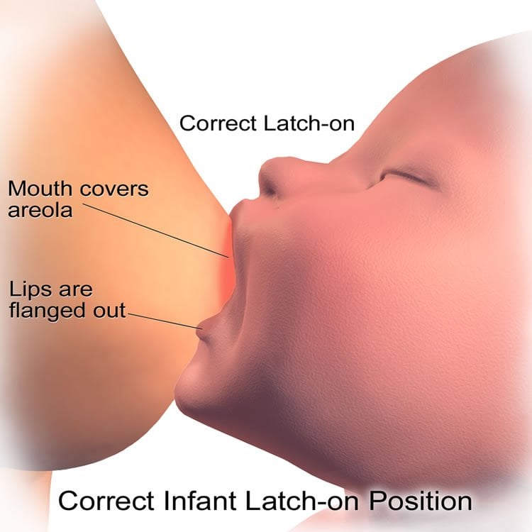 Illustration shows a baby breastfeeding.