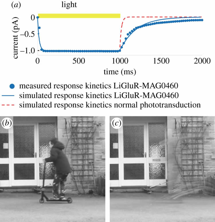 The image shows two images of a door.  In the first, a girl is playing on a scooter infront of the door. The second image shows a blur where the girl was.