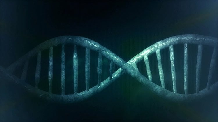 Image shows a blue DNA double helix.