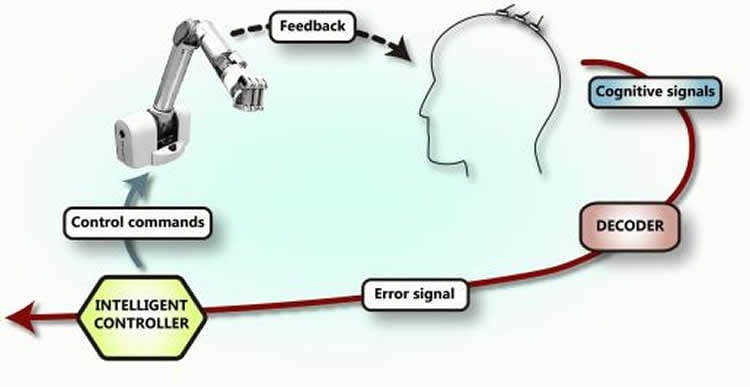 diagram of the loop of learning.