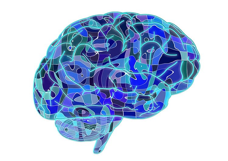 Image shows a brain made up of blue lines and patterns.