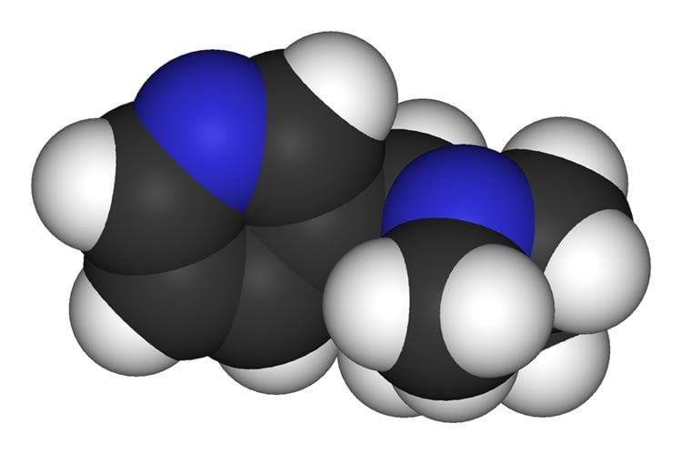This shows the 3d structure of nicotine.