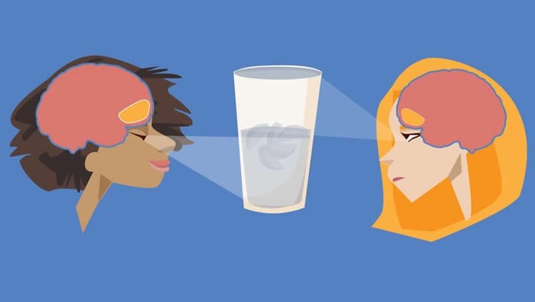 Drawing of two women looking at a glass of water. Their brains are exposed and OFC is highlighted.