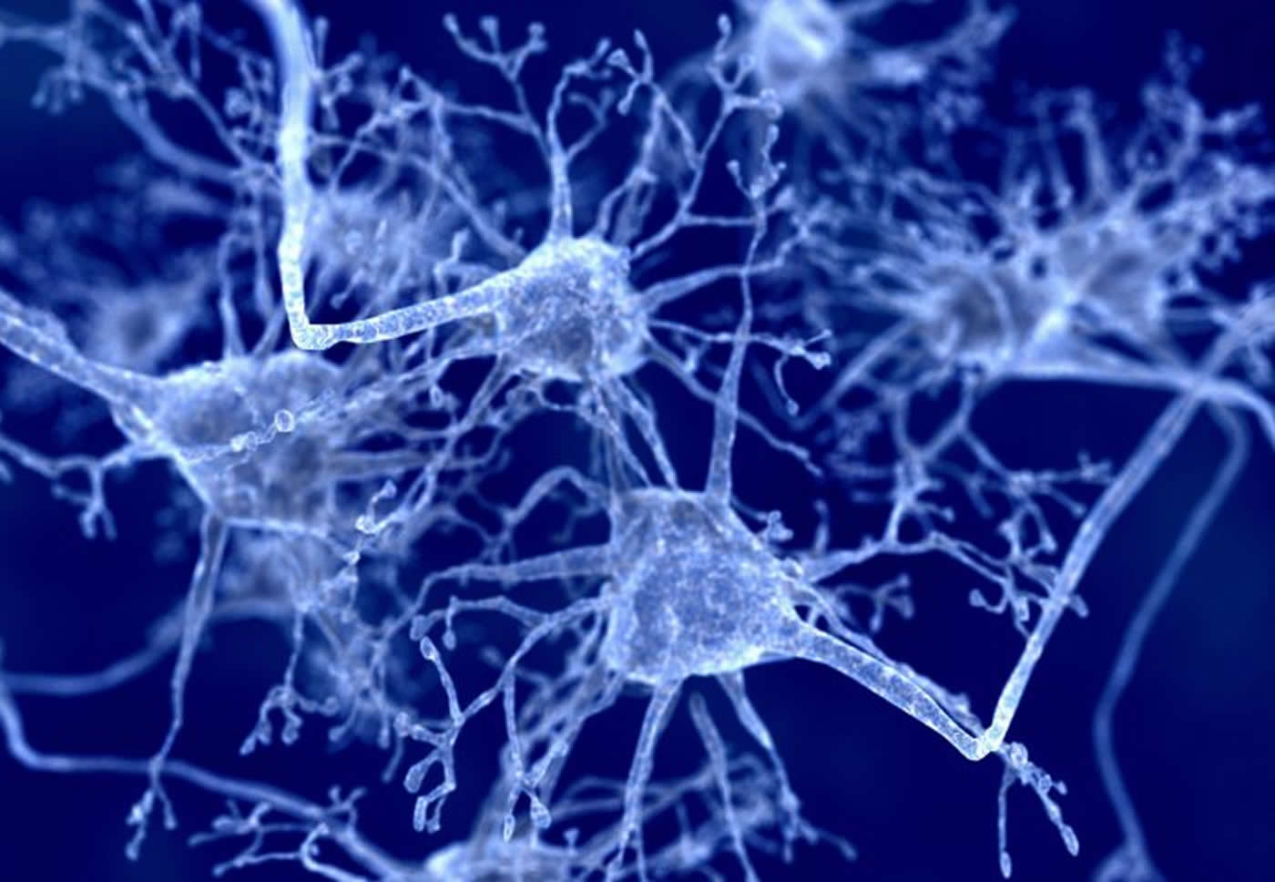 Neurons in blue are shown.