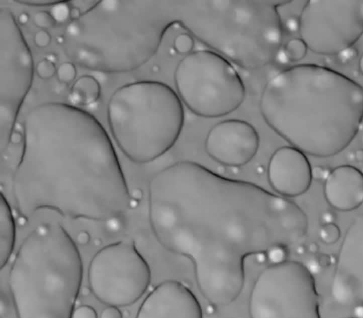 Image shows droplets from the ALS study.
