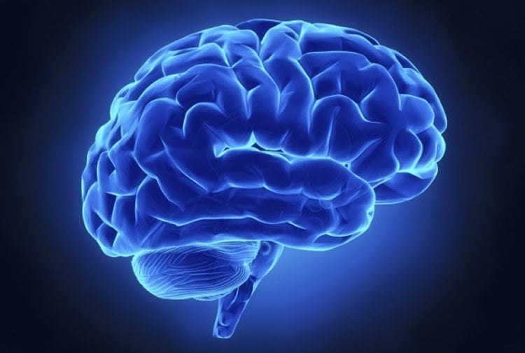 Computer generated image of a blue brain.