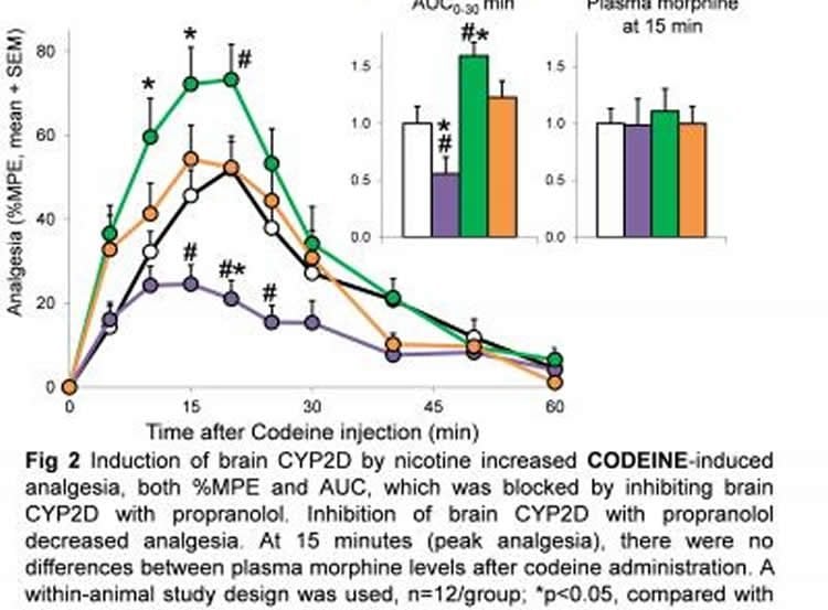 Graph showing how nicotine increases pain relief.