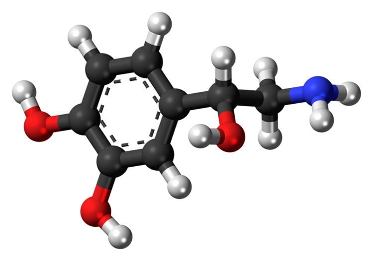 Image shows the structure of noradrenaline.
