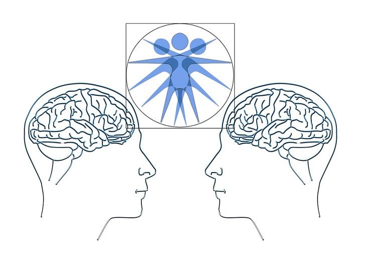 Image shows the outline of two heads with the brains exposed.
