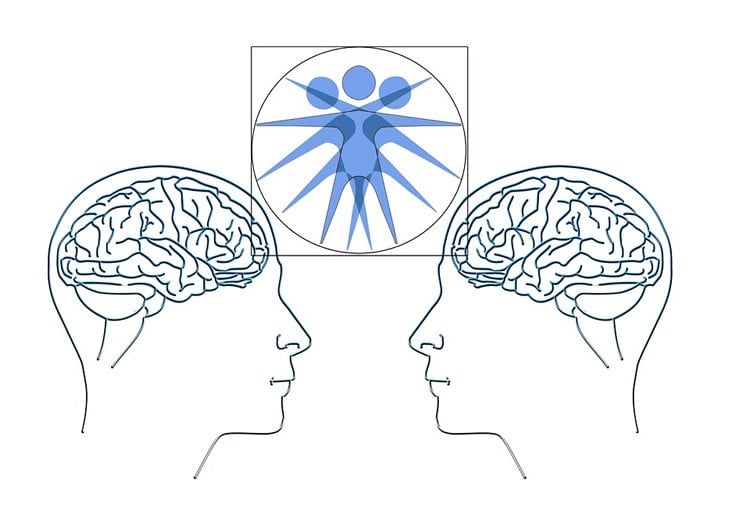 ventrolateral prefrontal cortex