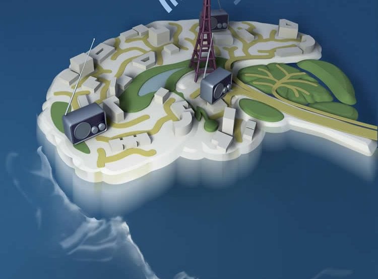 Image shows a brain model surrounded by water, as though it is an island.