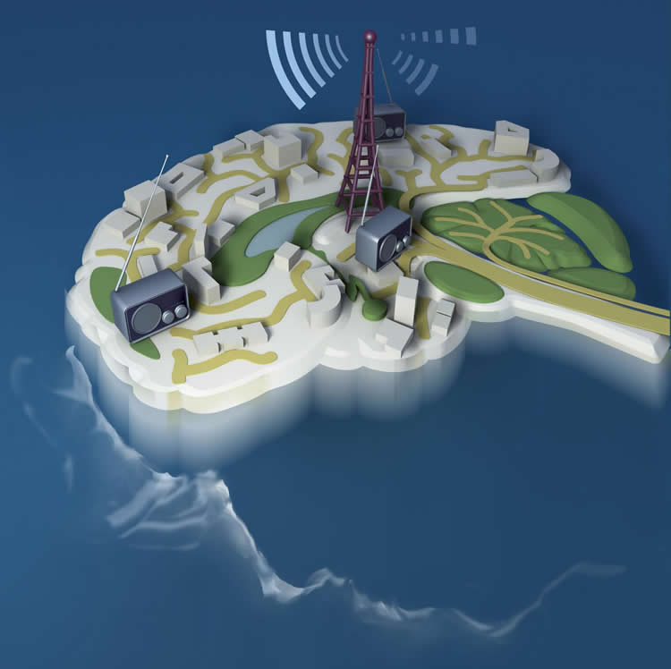 Image shows a brain model surrounded by water, as though it is an island.