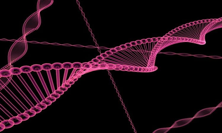 Image shows a pink DNA double helixes.