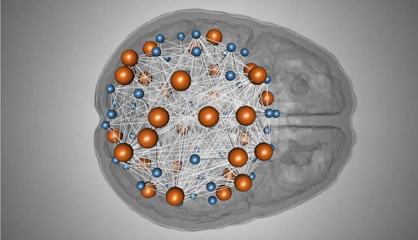 Image shows a brain with dots and lines, as though in a network.