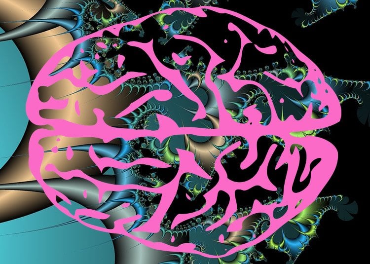 Image shows fractals ans a brain.