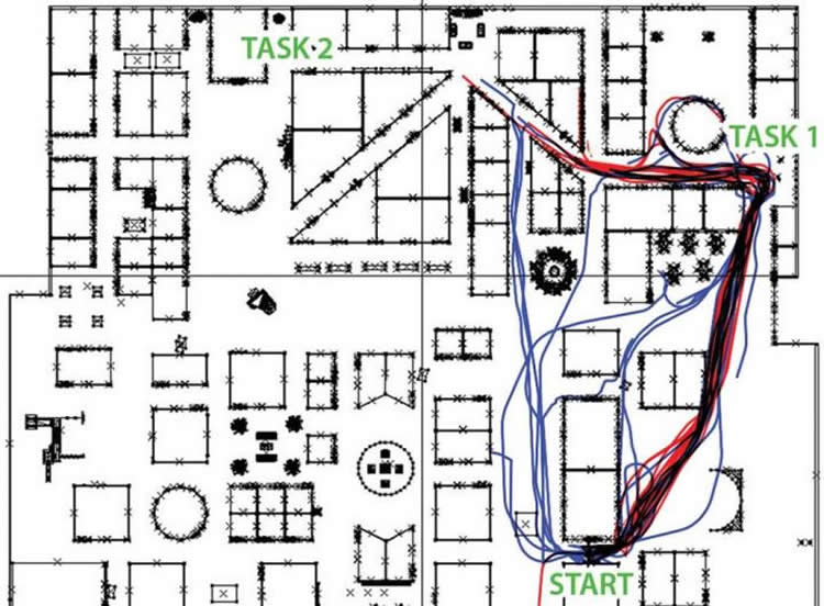 Image shows a map with red and blue lines representing the routes males and females took.