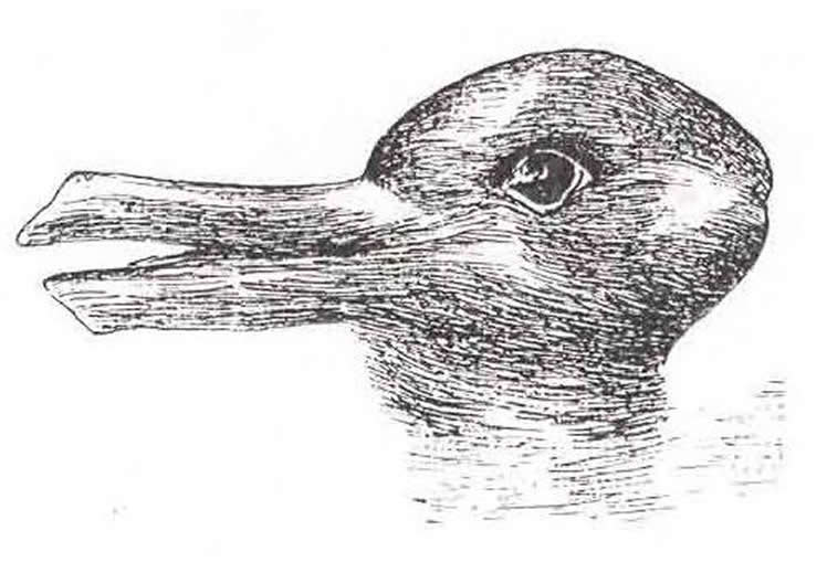 Image shows the duck/rabbit optical illusion.