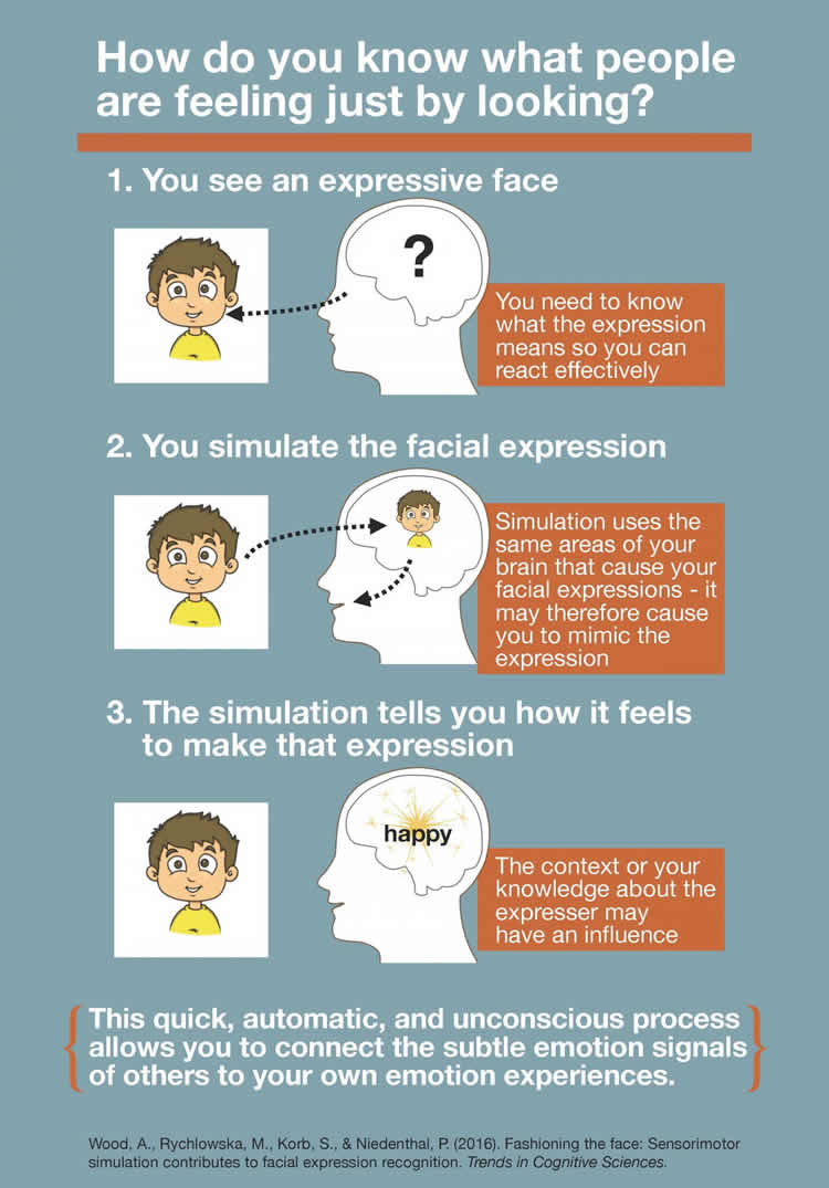 Infographic about smiling.