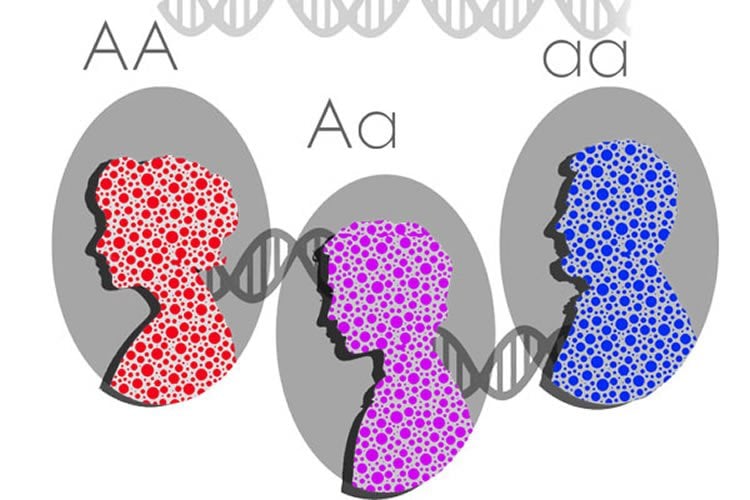 Image shows three people with DNA strands connecting them.