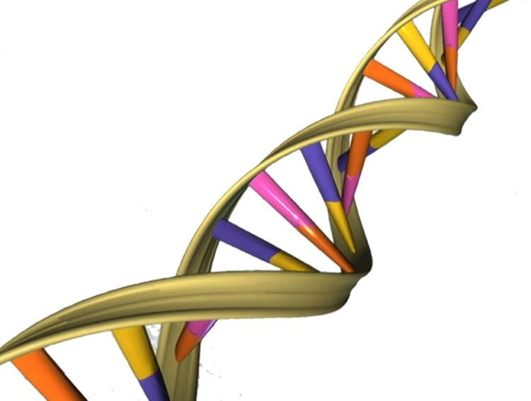 Image shows a DNA double helix.