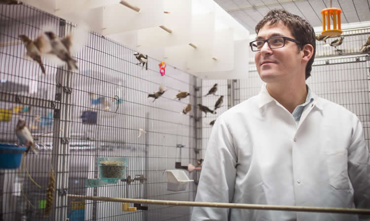 Image shows the researcher with finches.