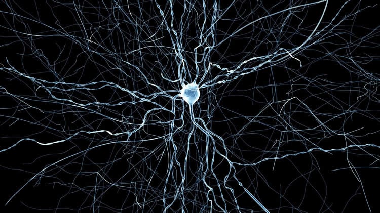 Image shows a virtual neuron.