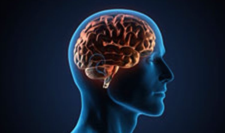 Image shows a person's head and the outline of a brain in orange.