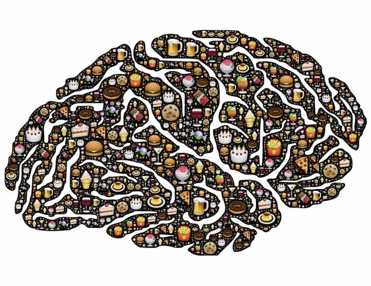Image shows the shape of a brain made up of food images.