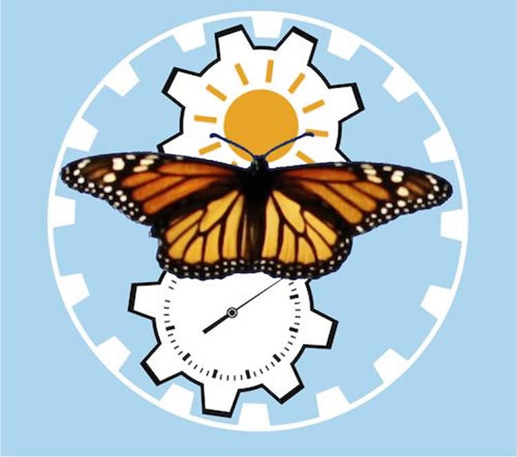 Image of a clock and butterfly.