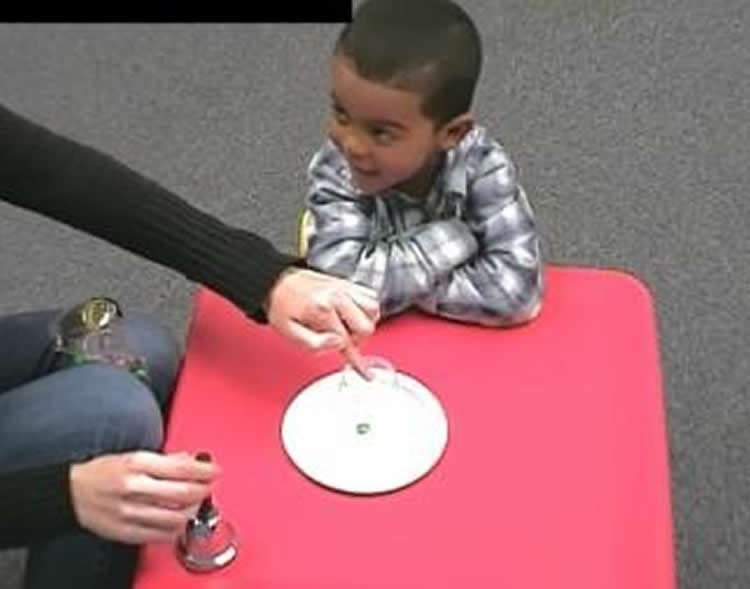 Image shows a little boy sitting in front of a plate.