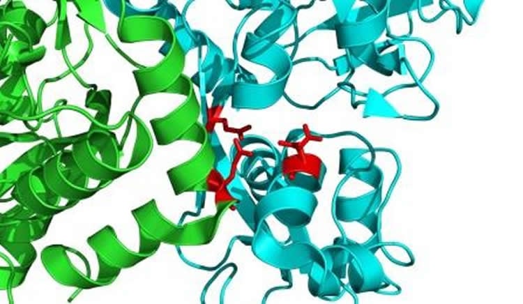 Image shows the structure of N3A receptors.