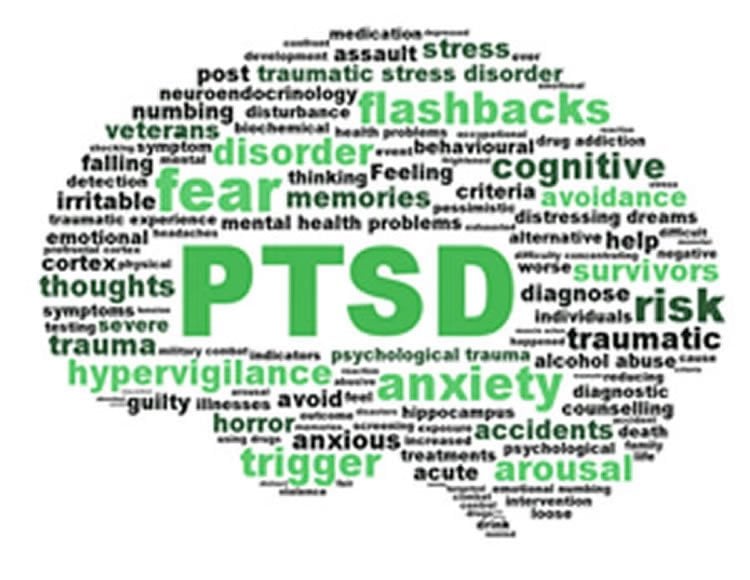 Image shows the shape of a brain made up of words associated with PTSD.