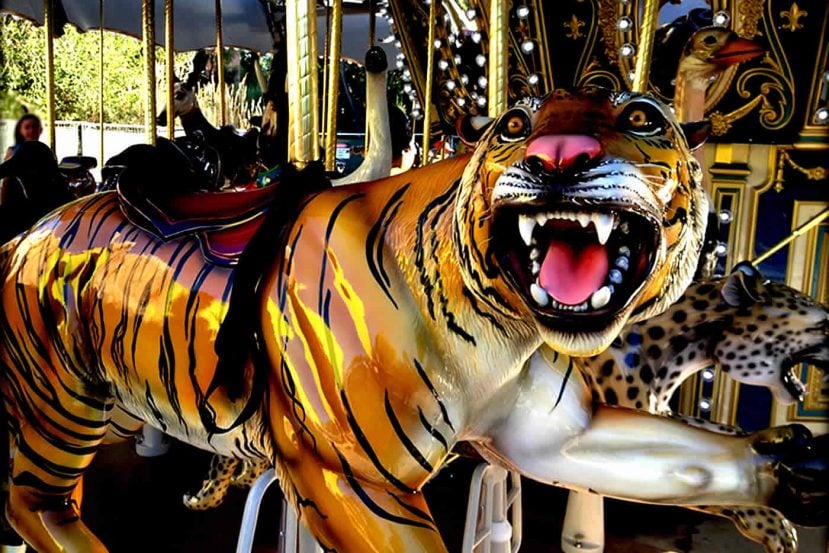 Image of a tiger on a merry go round.