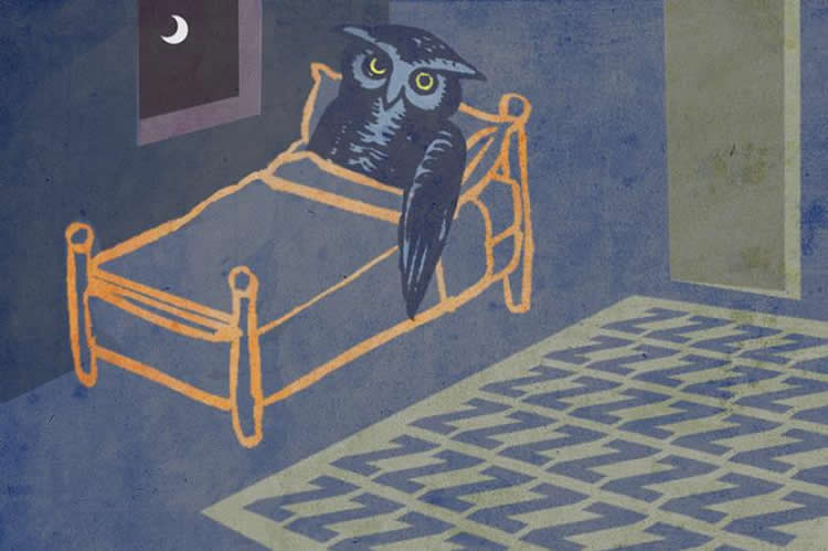Image shows an owl laying in a bed.