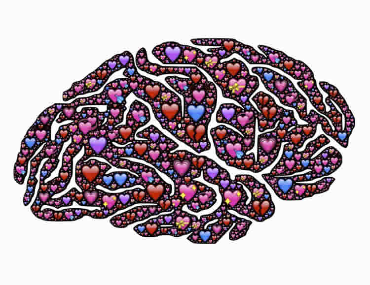 Image shows a brain and hearts.