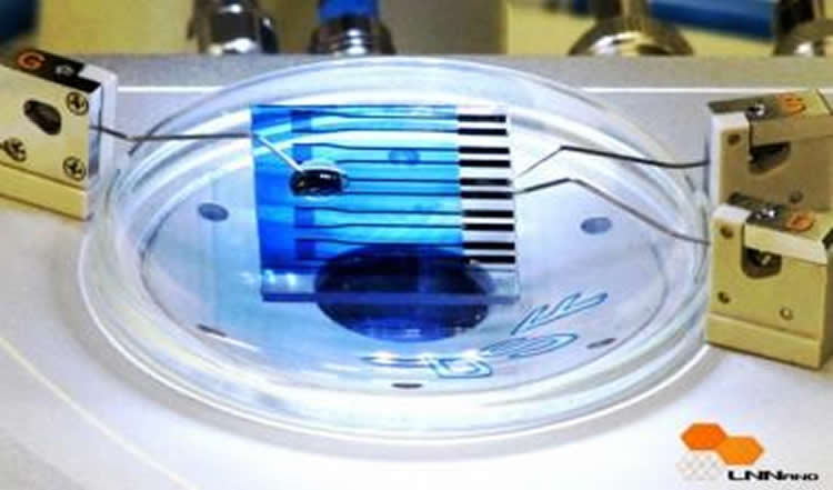 Image shows the biosensor.