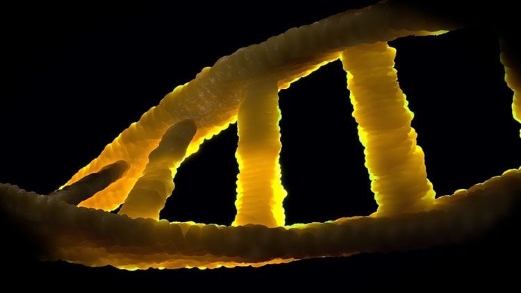 Image shows a dna strand.